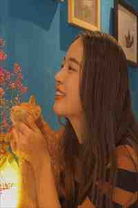 桃花落尽，与君长诀