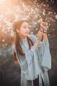 替嫁嫡女锋芒露