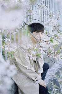 春知晓梦不觉
