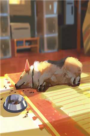 你是恩赐也是劫