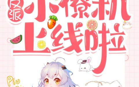 小说宋雨棠沈涟眠在哪里看？