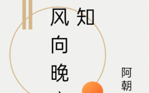 云向晚王知意小说在线阅读