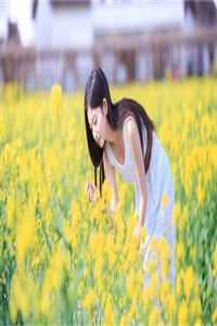 情若春梦，了却无痕