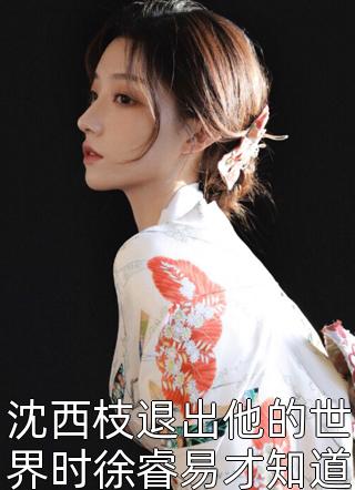 平凡女孩的不凡梦橘子的故事