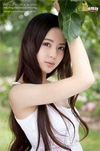 雨落情碎爱意尽