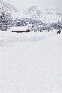 像春天原谅了所有雪