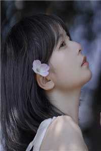 明月何曾是故乡