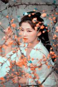 双娇女与才子的奇情科举姻缘(小江钱小江)免费小说全集_在线免费小说双娇女与才子的奇情科举姻缘(小江钱小江)