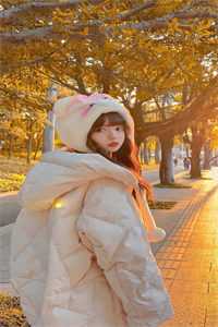 藏区雪未眠