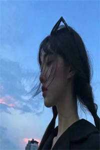 太子妃竟是将军弃妇