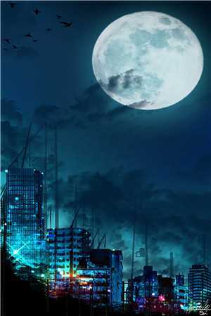 他在永夜长眠