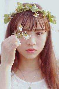 昭昭踏暮来